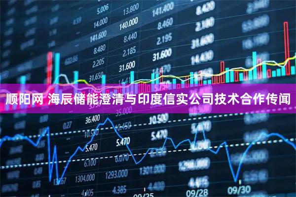 顺阳网 海辰储能澄清与印度信实公司技术合作传闻