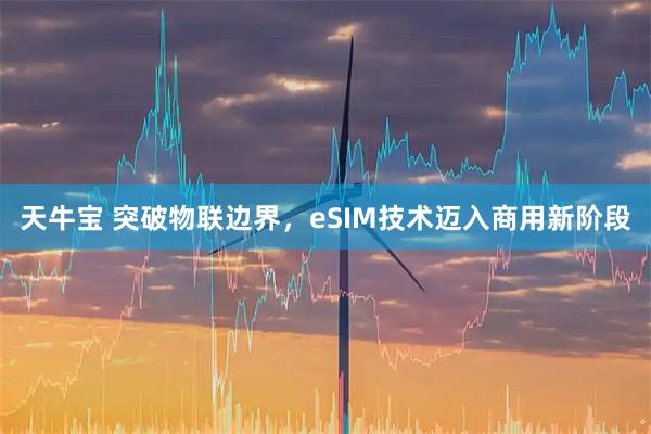 天牛宝 突破物联边界，eSIM技术迈入商用新阶段