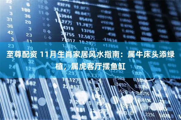 至尊配资 11月生肖家居风水指南：属牛床头添绿植，属虎客厅摆鱼缸